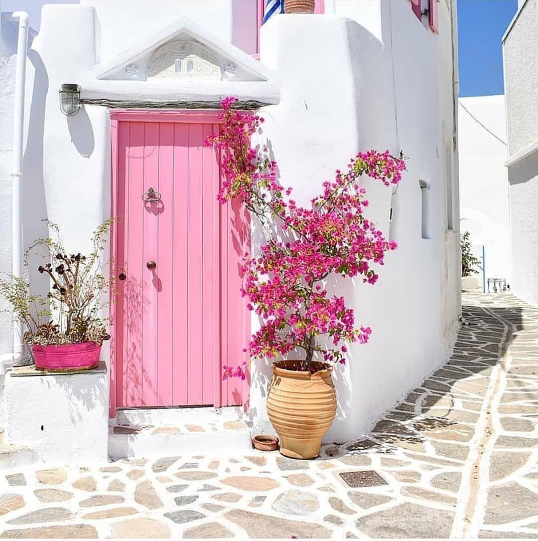 Embrace Summer Vibes: Bring a Slice of Bliss & Co. to Your European Adventure