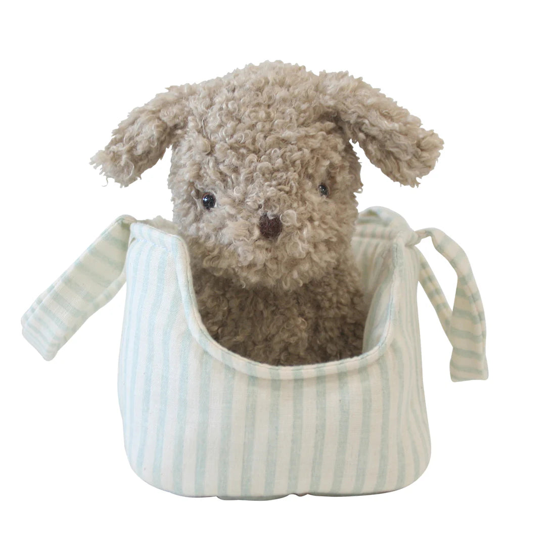 Puppy & Carrier