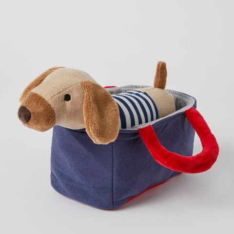 Dachshund Cool It Pack