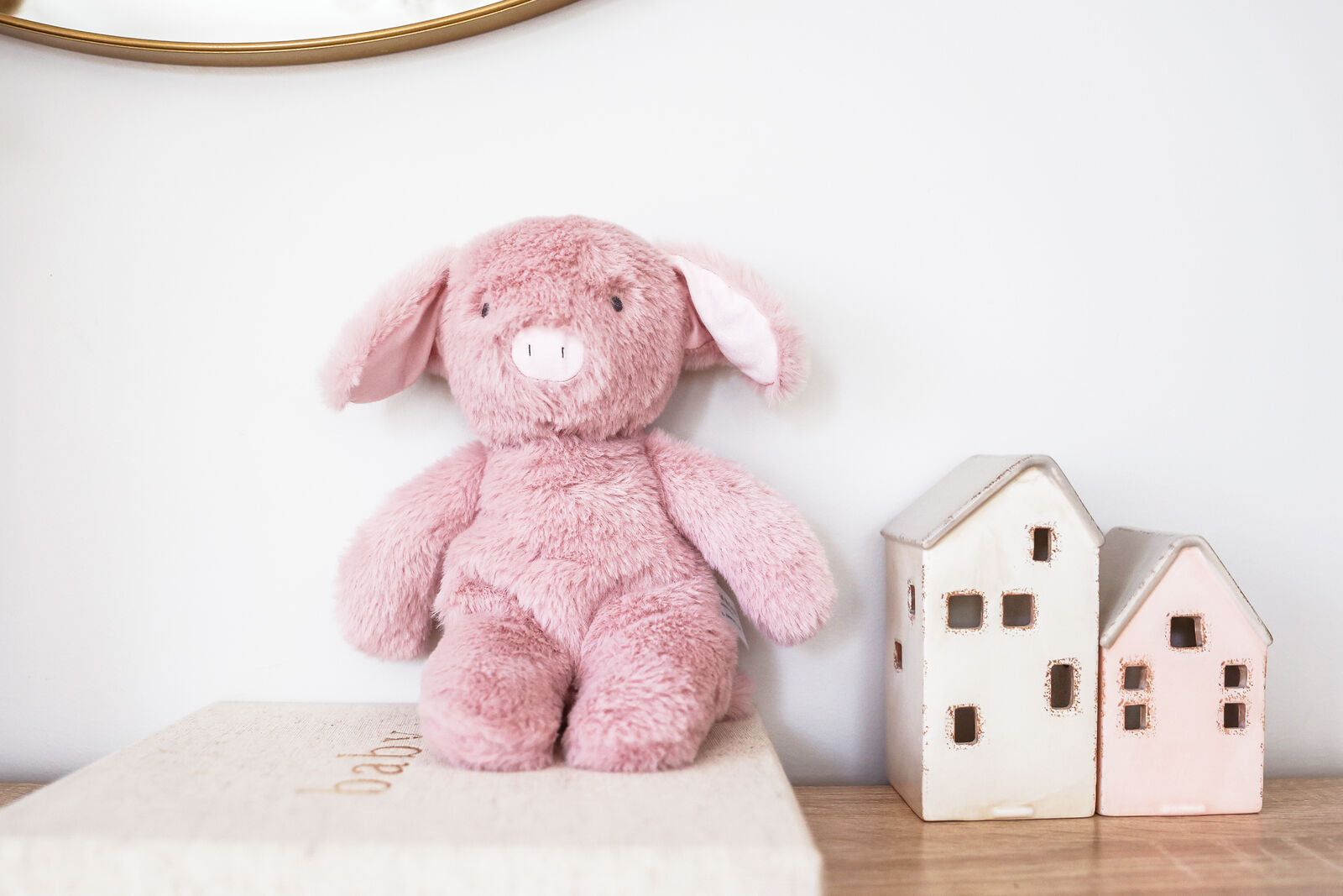 Plush Piggy