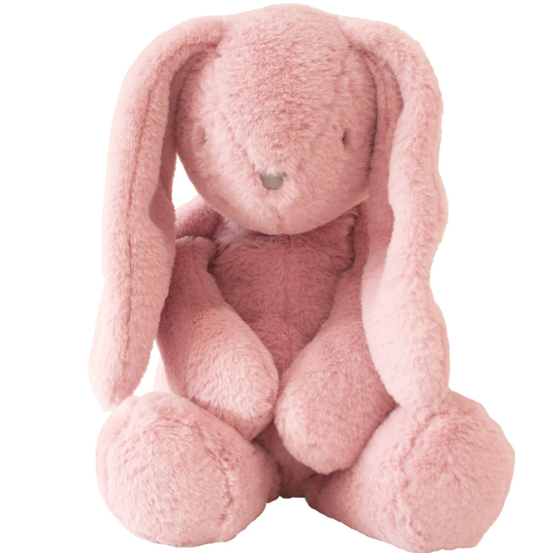 Darcey Bunny