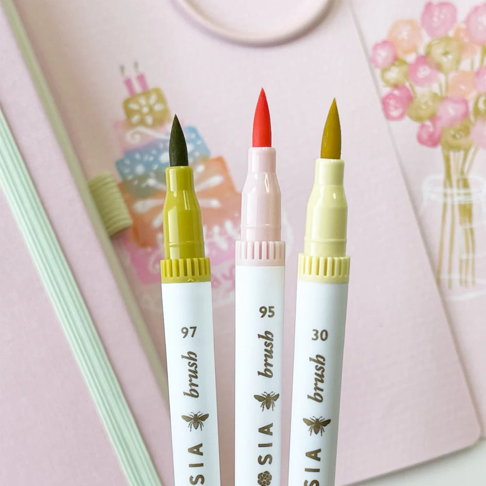 Dual Tip Marker Pens
