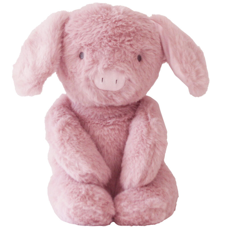 Plush Piggy