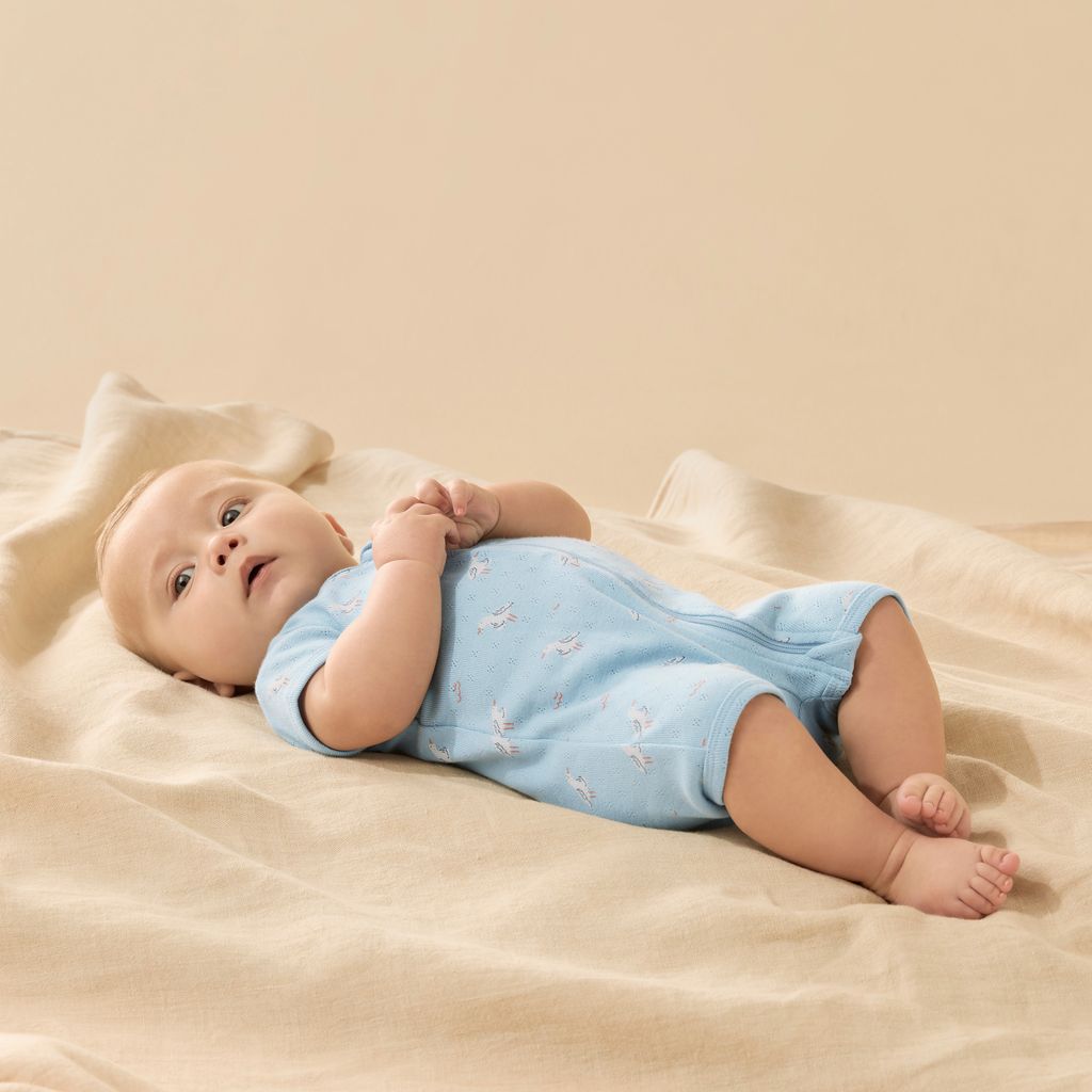 Pointelle Boyleg Zipsuit