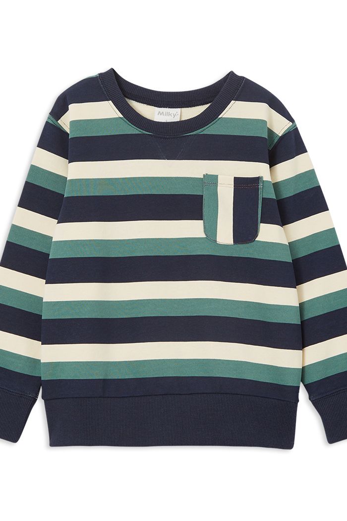Block Stripe Fleece Sweat