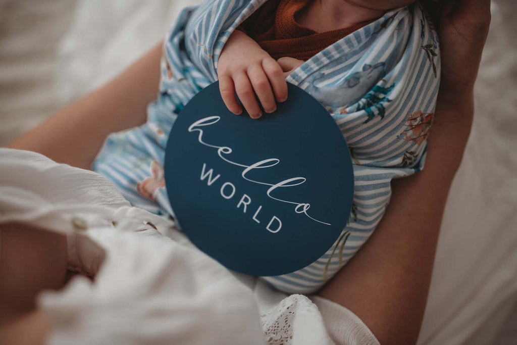 Whale Snuggle Swaddle Sack