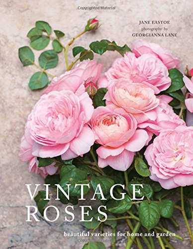 Vintage Roses