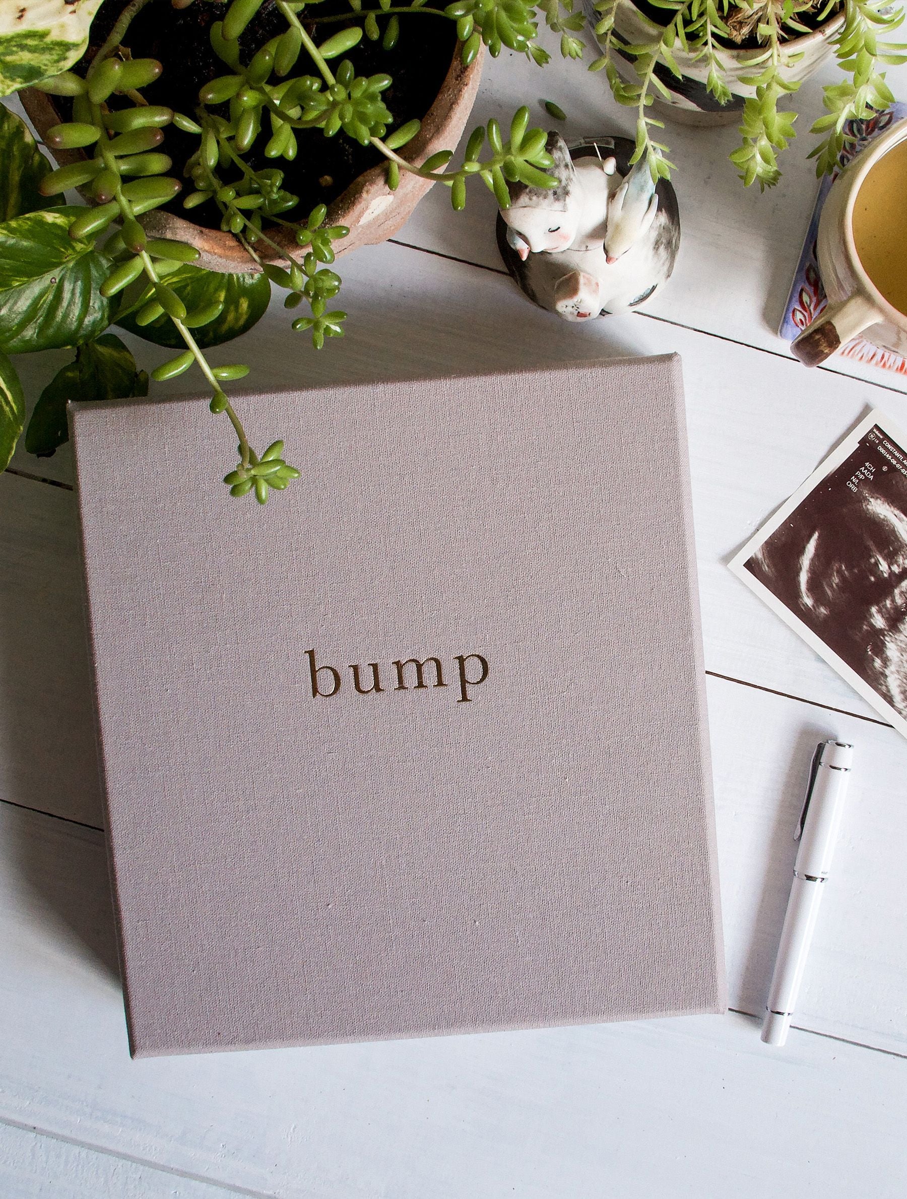 Bump. My Pregnancy Journal.