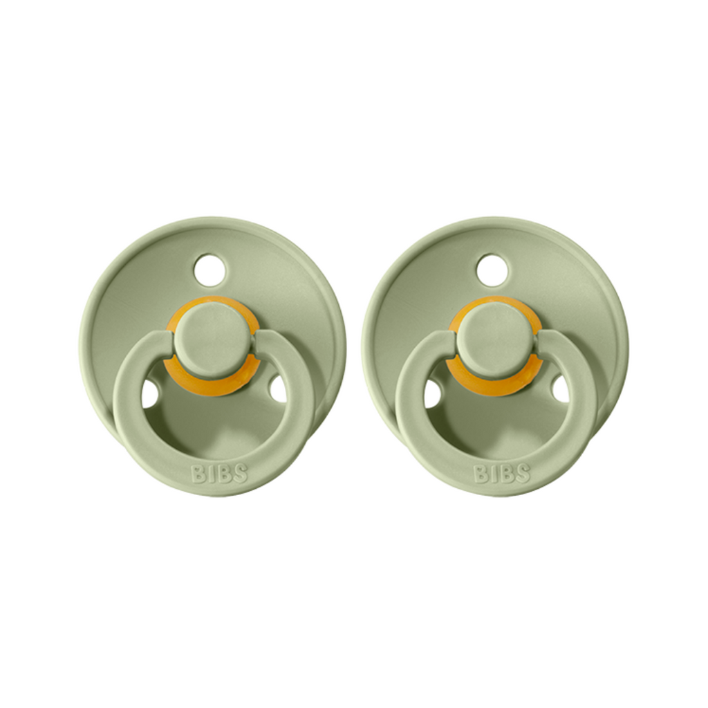 Bibs Pacifier/Dummy 2 Pack