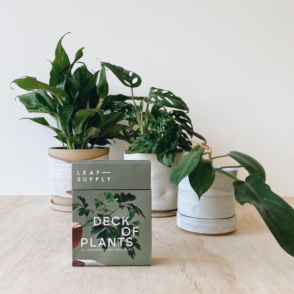 Leaf Supply Deck of Plants