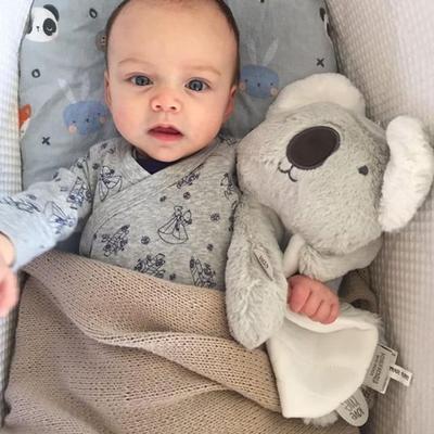 Kelly Koala Comforter