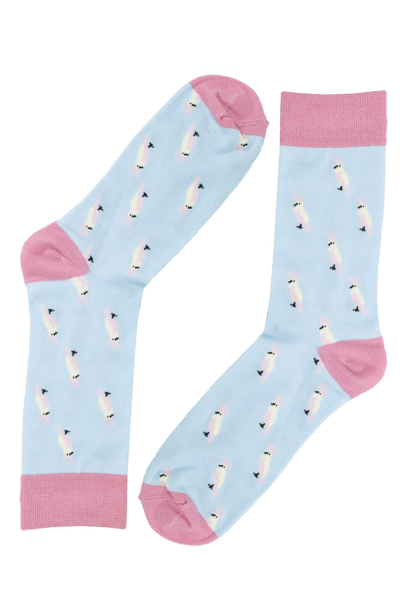 Cockatoo Socks