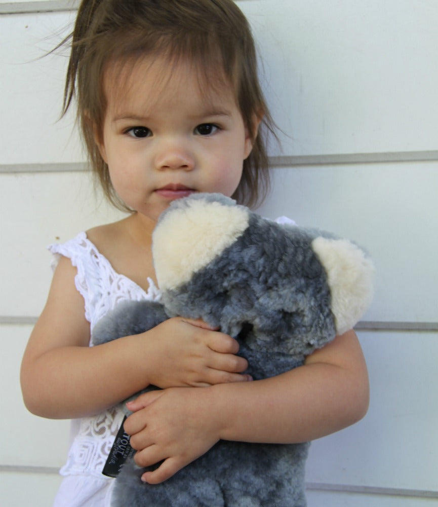FLATOUTbear Koala
